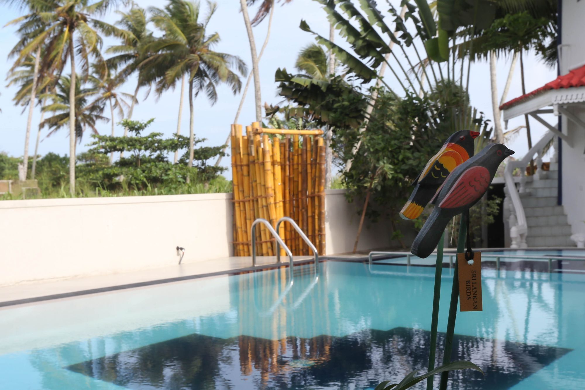 Neptune Story Resort 韦利格默 外观 照片
